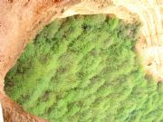 Viata desde el mirador de la galer�a as Medulas